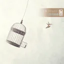 Freedom - Radio Edit by D.M. Project - Hardstyle cover art