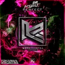 Perfect - Extended by D.M. Project - Hardstyle cover art
