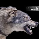Wolves - Radio Edit by D.M. Project - Hardstyle cover art