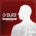 Party At My Place - Vertile remix by D-Sturb, Vertile, Alee - Rawstyle cover art