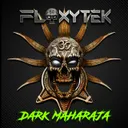 Cover of Dark Maharaja