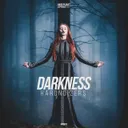 Cover of Darkness