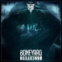 Cover of Darkness