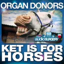 Ket Is for Horses - Darren Styles Remix by Darren Styles, Organ Donors - Happy Hardcore cover art