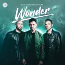 Wonder by Darren Styles, TNT, Technoboy, Tuneboy - Hardstyle cover art