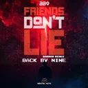 Friends Don't Lie - Darwin Remix by Darwin, Back By Nine - Happy Hardcore cover art