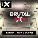 Kick & Sample by Darwin - Happy Hardcore cover art