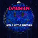 Need A Little Something - Radio Mix by Darwin - Happy Hardcore cover art