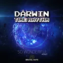 So Wonderful - Extended Redux Mix by Darwin, Time Rhythm - Happy Hardcore cover art