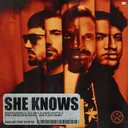 She Knows - Per Pleks Remix by David Guetta, Akon, Dimitri Vegas & Like Mike, Afro Bros, Per Pleks - Hard Techno cover art