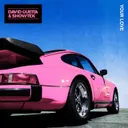 Your Love by David Guetta, Showtek - Hardstyle cover art