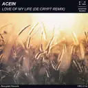 Love Of My Life - De:crypt Remix by De:crypt, Acein - Hardstyle cover art
