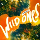 Wild Ones by Deepack - Hardstyle cover art