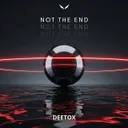 Not The End by Deetox, Shadow Legacy - Rawstyle cover art