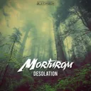 Cover of Desolation