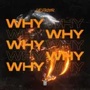 WHY - Radio Mix by DESTROY3R - Hardstyle cover art