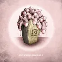 Ball Bag Bollocks - Original Mix by Detest, Tripped - Hardcore cover art