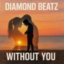 Without You by Diamond Beatz - Hardcore cover art