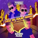 Cover of Died In Your Arms (Reloaded)