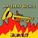 Cover of DIFFERENT NIGHTS