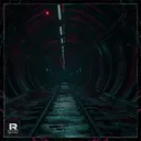Cover of Digital Chaos