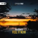 Feel It Now by Dirty Workz, Alleviate - Hardstyle cover art