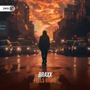Feels Right by Dirty Workz, BraxX - Hardstyle cover art