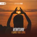 I Gave You Love by Dirty Workz, Venture - Hardstyle cover art