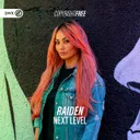 Next Level by Dirty Workz, Raiden - Hardstyle cover art