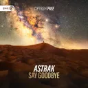 Say Goodbye by Dirty Workz, Astrak - Hardstyle cover art
