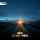 Stay Here Forever by Dirty Workz, ANGUZ - Hardstyle cover art