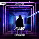 The Future (Ex Infinium Remix) by Dirty Workz, Pherato, Ex Infinium - Hardstyle cover art