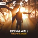 Wake Up In The Sunlight by Dirty Workz, Valido, Sawer - Hardstyle cover art