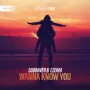 Wanna Know You by Dirty Workz, Ezenia, Subraver - Hardstyle cover art