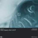 What Happens Next Life by Dissonne - Hard Techno cover art