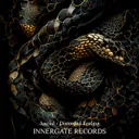 Cover of Distorded Feeling
