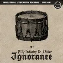 Crude - Ak-Industry Remix by Dither - Hardcore cover art