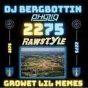 2275 (Rawstyle Bootleg) by DJ Bergbottin, Phyzio - Hardstyle cover art