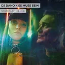 Someone Like You - Extended Mix by DJ Dano, Es Muss Sein - Hardcore cover art