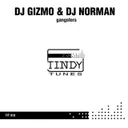 The Place - Dedicated 2 The Darkraver Mix by Dj Gizmo, DJ Norman - Hardstyle cover art