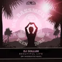 Beautiful Life - Mr.Bassmeister Remix by DJ Gollum, Mr. Bassmeister - Frenchcore cover art