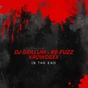 In the End by DJ Gollum, Krowdexx, Re-Fuzz - Hardcore cover art