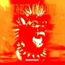 Fire Bomb by Dj Mad Dog, OMAKS, ENERGIC - Hardcore cover art