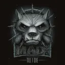 Hero - Radio Edit by Dj Mad Dog - Frenchcore cover art