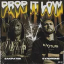 Drop it low by DJ Syndrome, Sakpatek - Frenchcore cover art