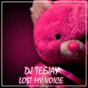 Lost My Voice by DJ Teejay - Hardstyle cover art