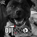 Use The Microphone by DJ Terror - Uptempo cover art