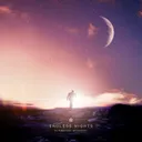 Endless Nights by Dj Thera, Mc Instinct - Hard Techno cover art