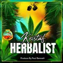 Herbalist by DJ Virus, Kristaf - Hardstyle cover art
