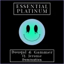 Cover of Domination